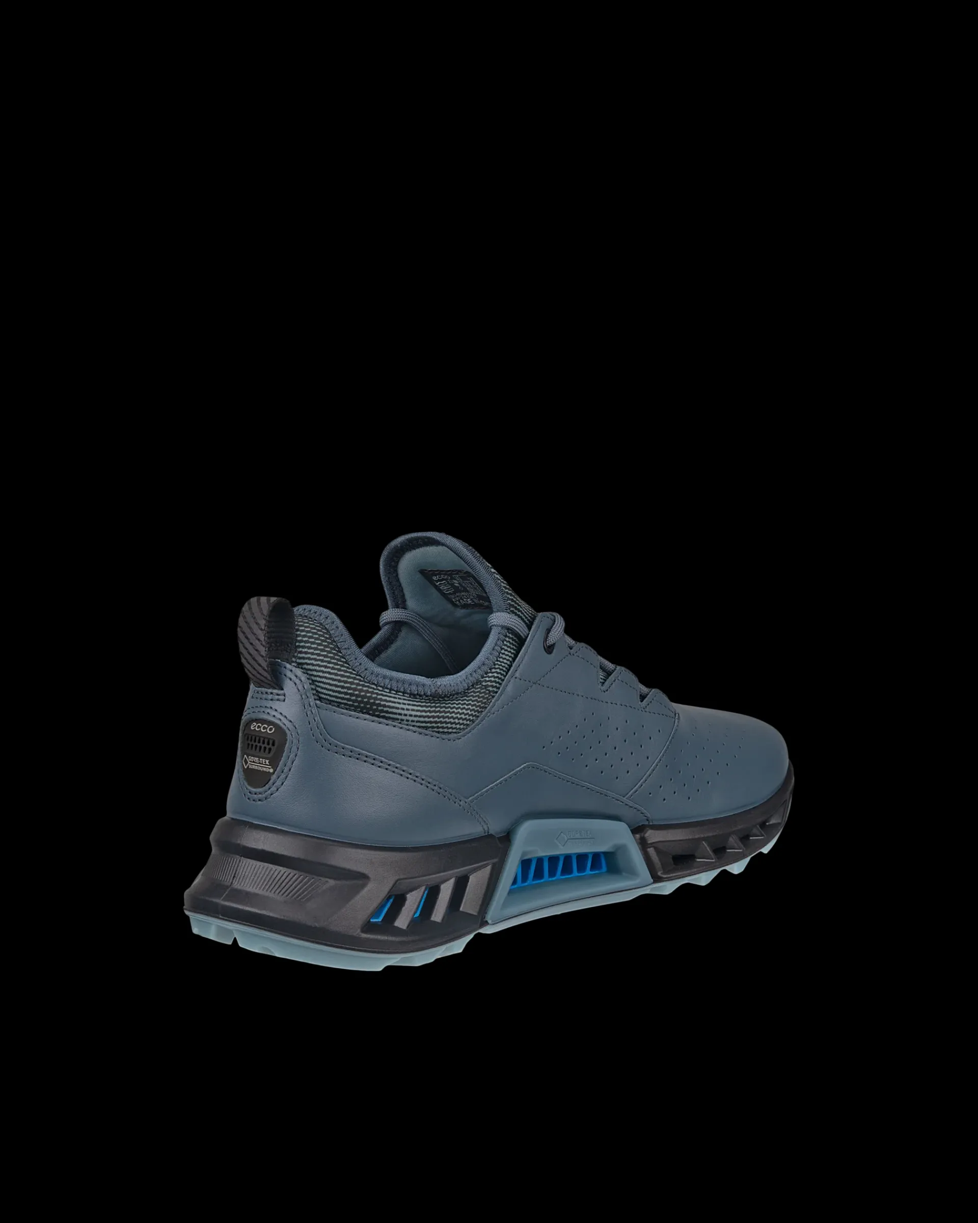 ECCO Gore-Tex | Golf* M GOLF BIOM C4